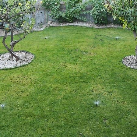 Souterrain Fuer Max 2 P., Bad, Aussenkueche, Garten Güimar 外观 照片