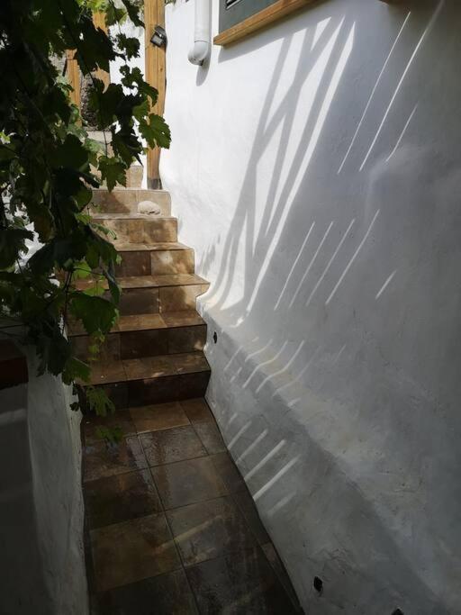 Souterrain Fuer Max 2 P., Bad, Aussenkueche, Garten Güimar 外观 照片