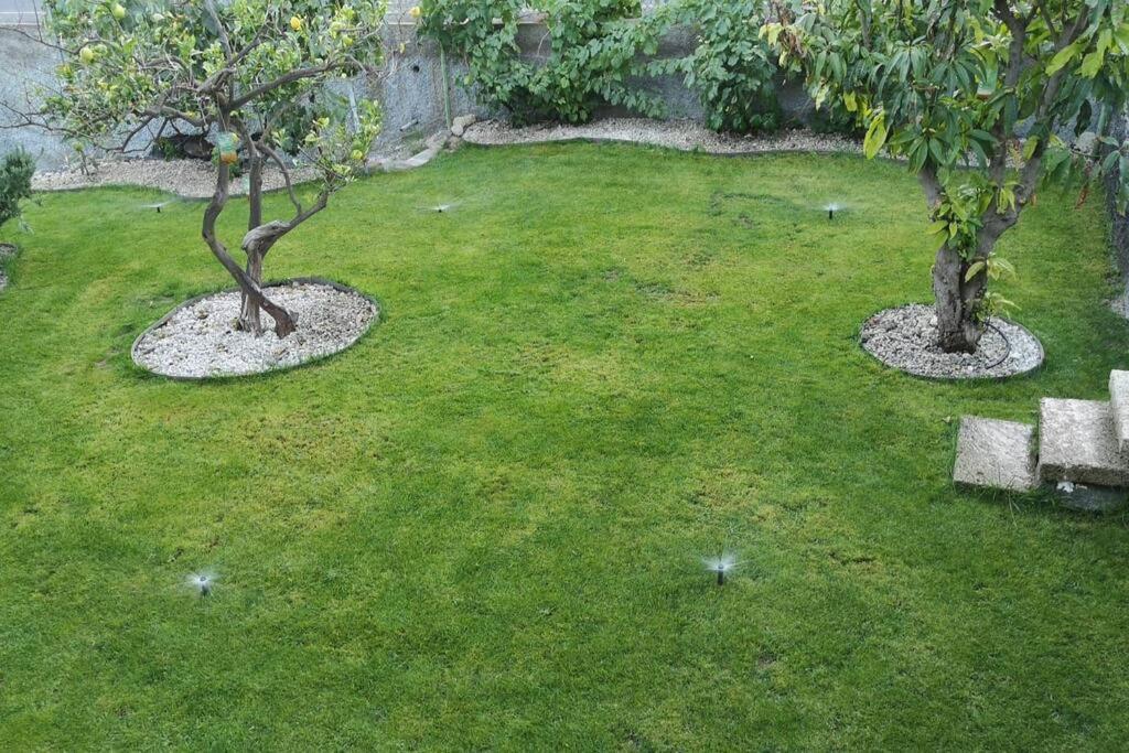 Souterrain Fuer Max 2 P., Bad, Aussenkueche, Garten Güimar 外观 照片